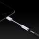Illustration for article titled Steve Jobs Loved The Headphone Jack